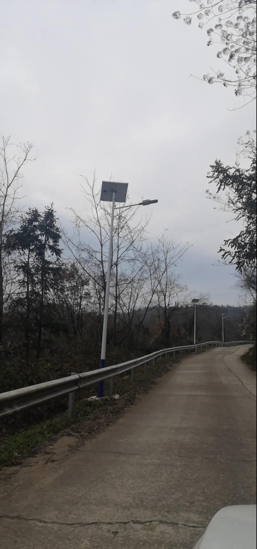 案例賞析〡云雁高飛，助力鄉村振興
